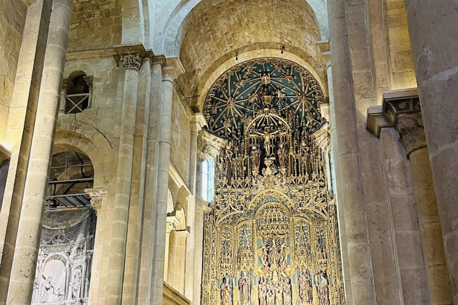 Coimbra Cathedral Guided Tour (Sé Velha & Sé Nova)