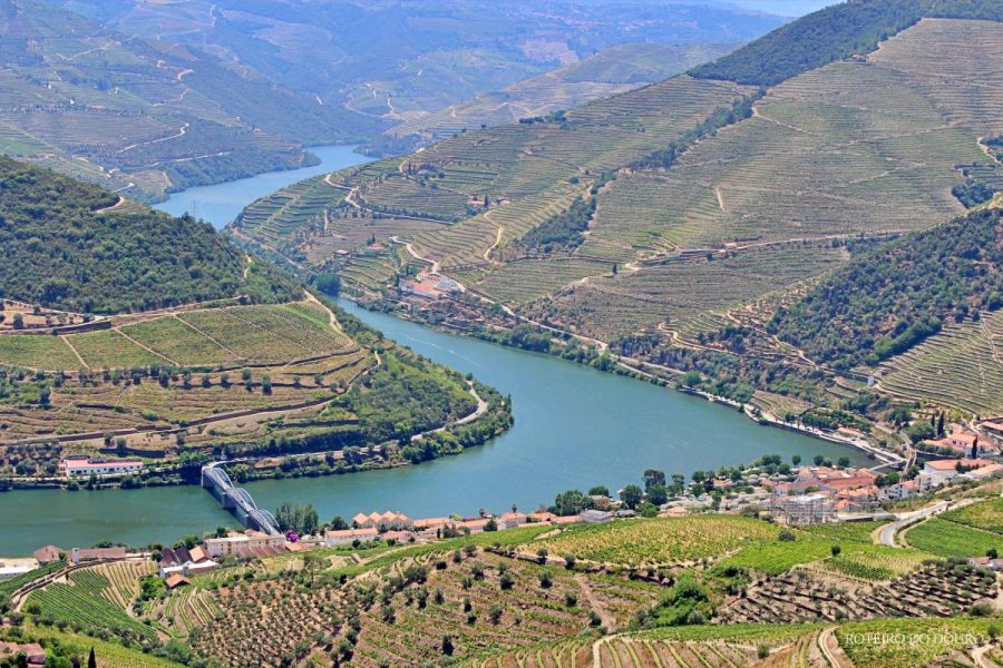 Douro Valley: 4 Cities, Wine&History – Private All-Included