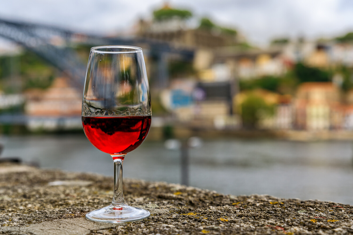 Wine & Food Tasting Experience